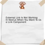 External Link Is Not Working In Next.Js When You Want To Use Link Component