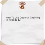 How To Use Optional Chaining In Node.Js 12