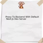 Proxy To Backend With Default Next.Js Dev Server