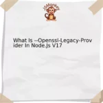 What Is --Openssl-Legacy-Provider In Node.Js V17