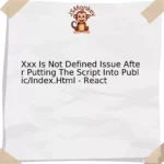 Xxx Is Not Defined Issue After Putting The Script Into Public/Index.Html - React