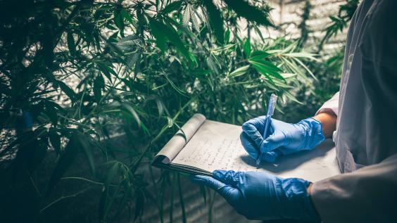 Environment Variable With Dotenv And Typescript