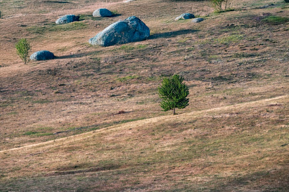 Unable To Resolve Dependency Tree Reactjs